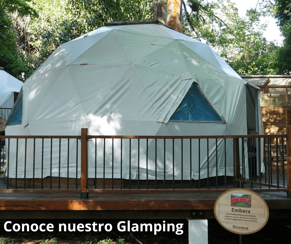 Conoce Glamping